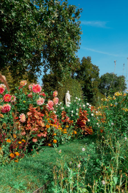 Zeynep represents flowers